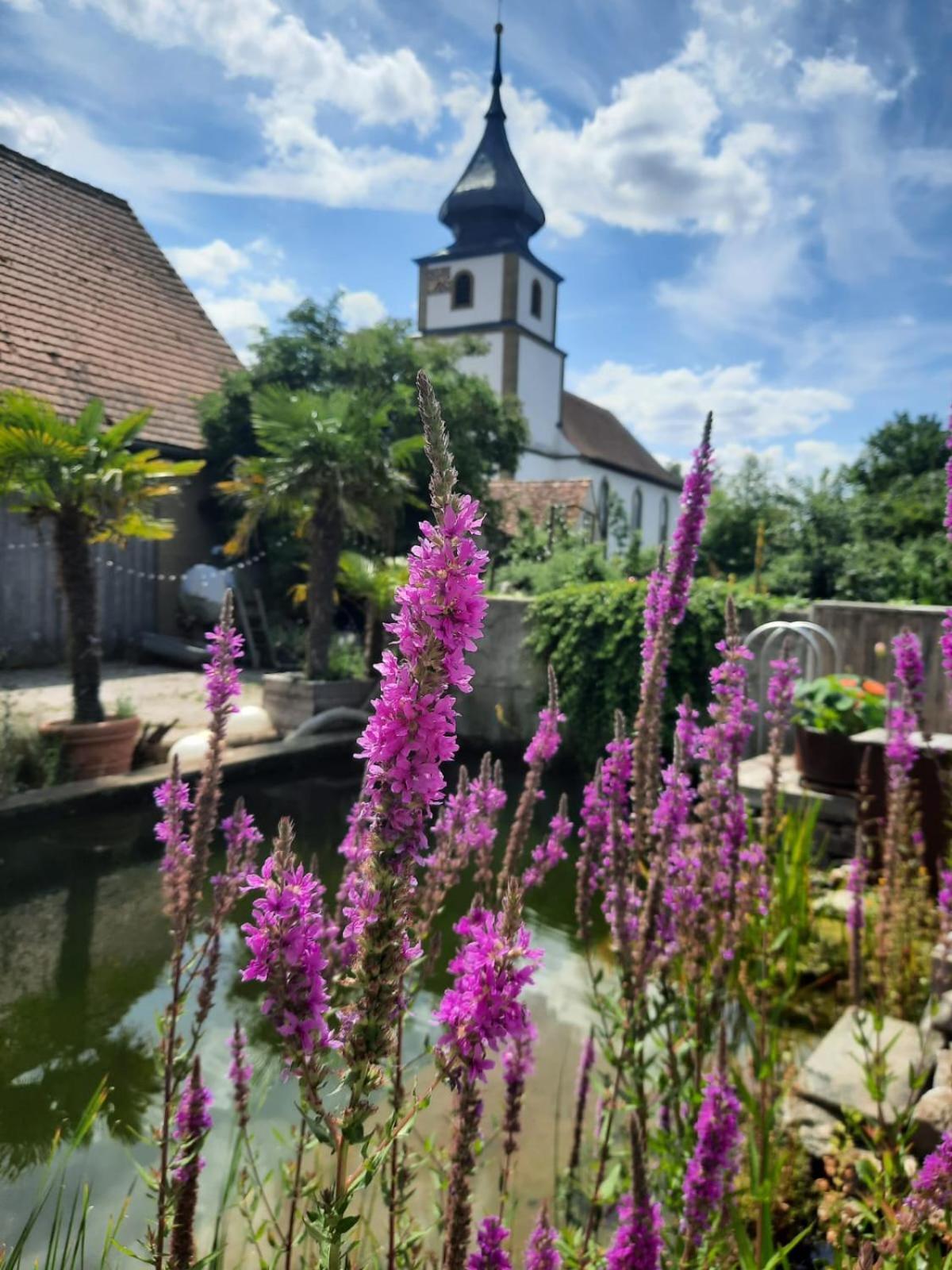 Spatzennest Und Rabennest Sugenheim Esterno foto